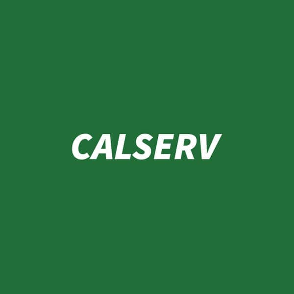 Give the Dog a Bone: Calserv