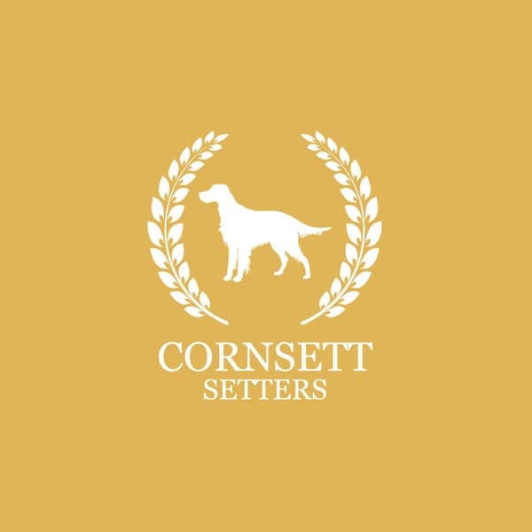 Give the Dog a Bone: Cornsett Setters