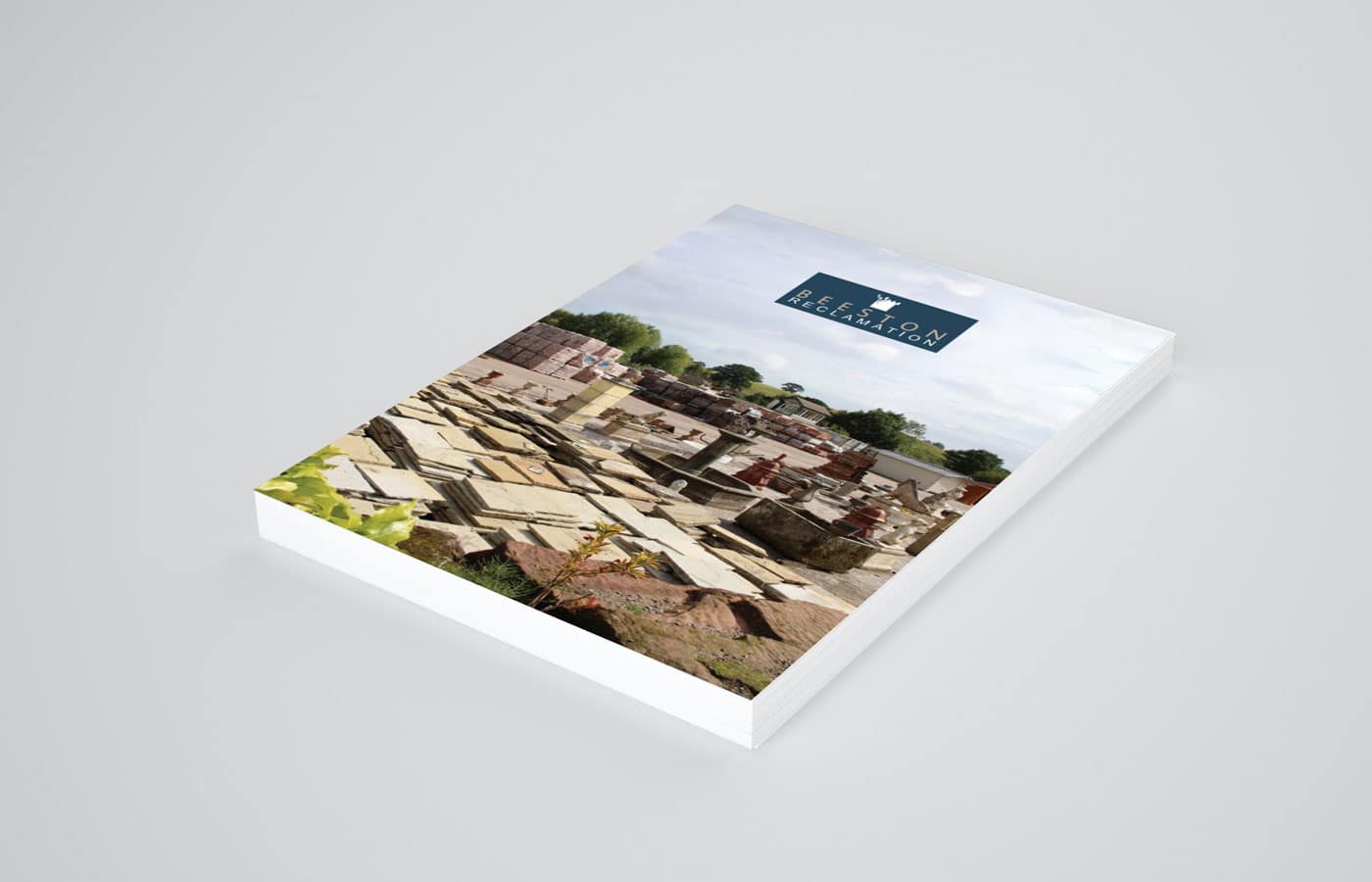 Give The Dog a Bone: Website Design, Brochure Design Give The Dog a Bone: Website Design, Brochure Design
