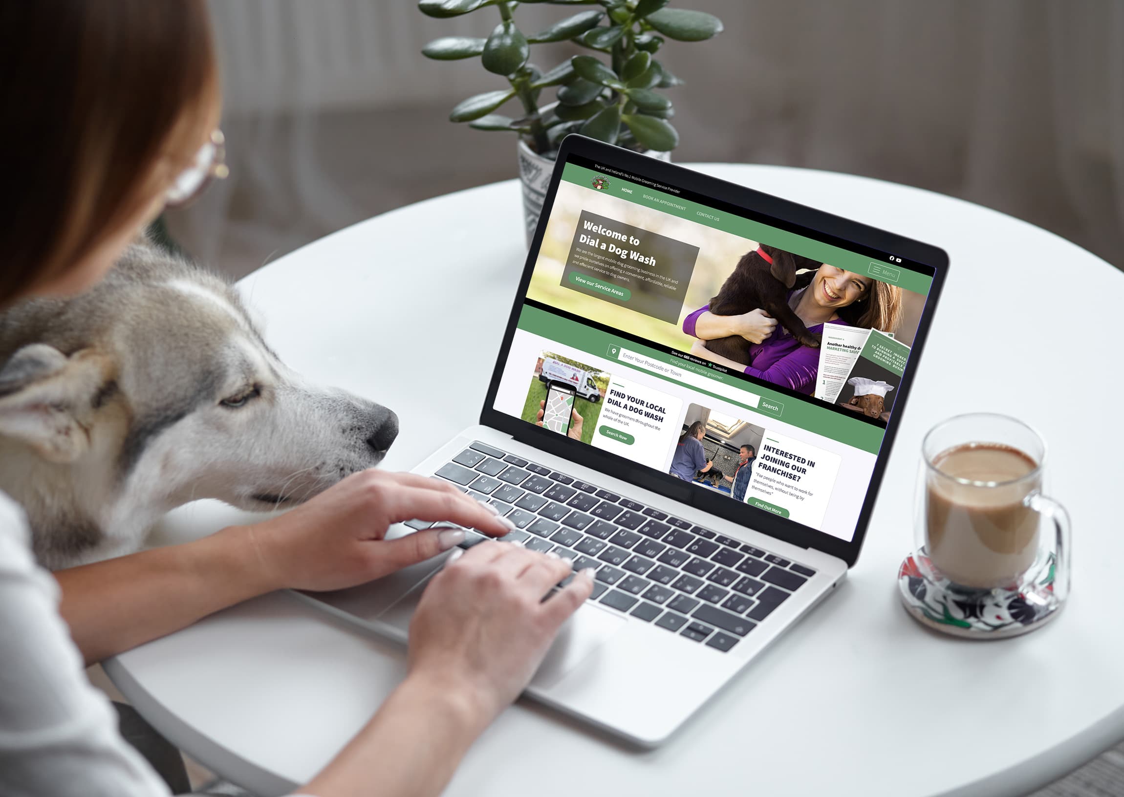Dial a Dog Wash | Web Design, Web Systems