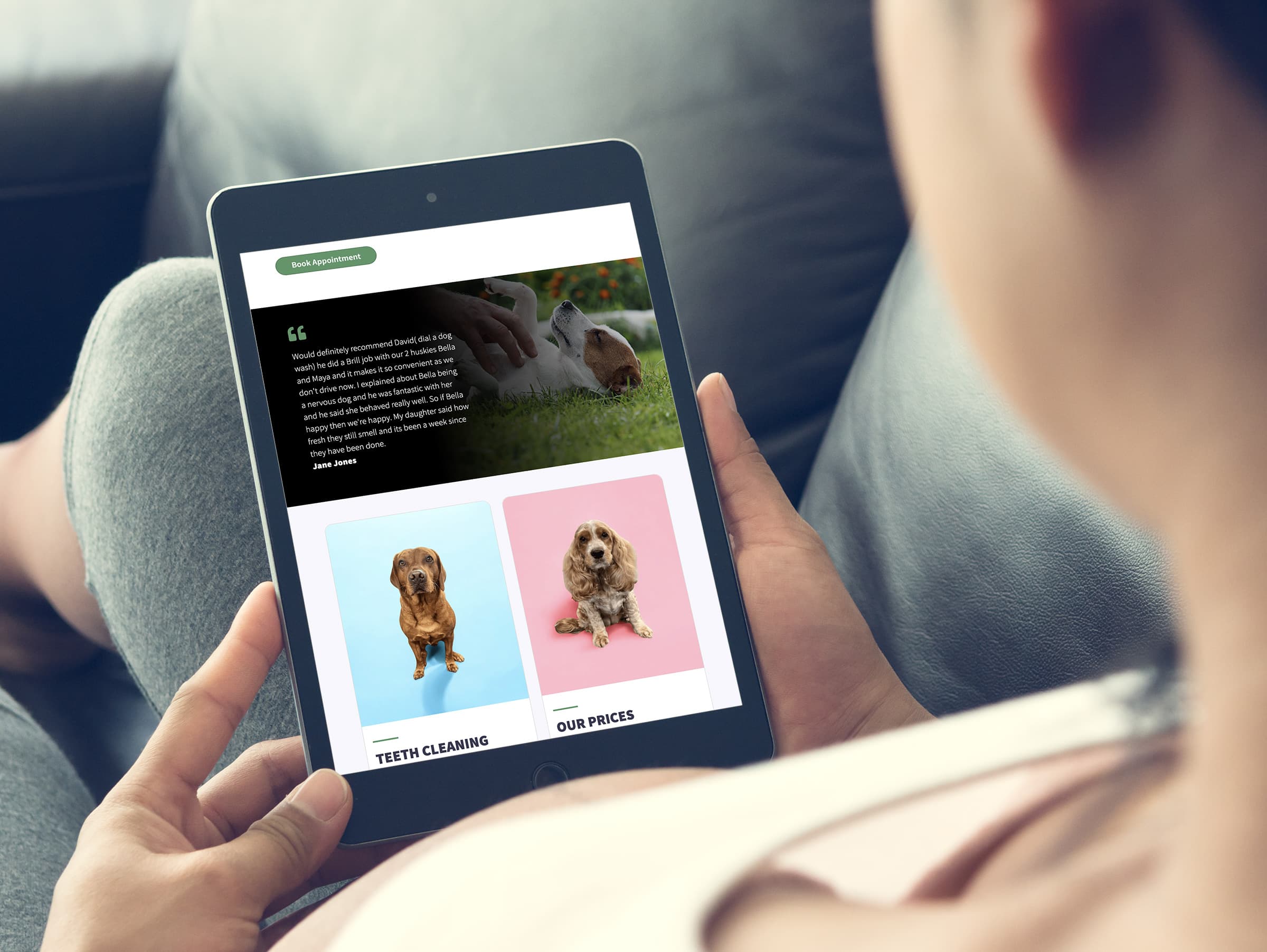 Dial a Dog Wash | Web Design, Web Systems