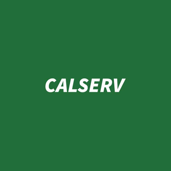 Give The Dog a Bone: Calserv