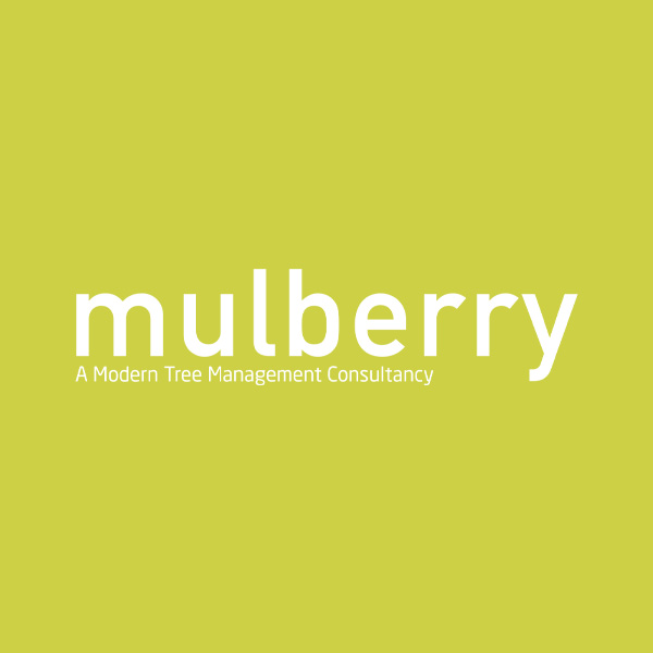 Mulberry TMC