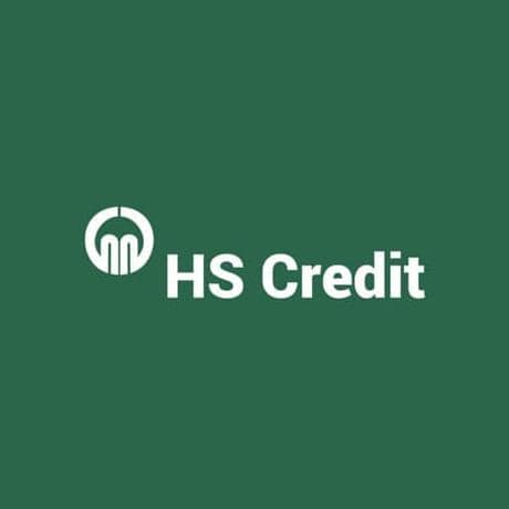HS Credit Ltd | Interactive PDF Forms & Web Development