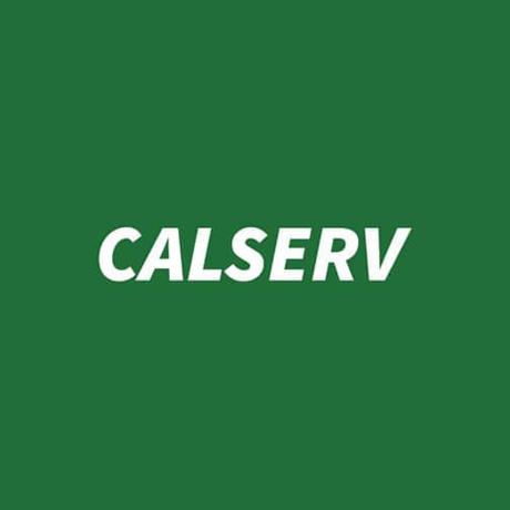 Give The Dog a Bone: Calserv