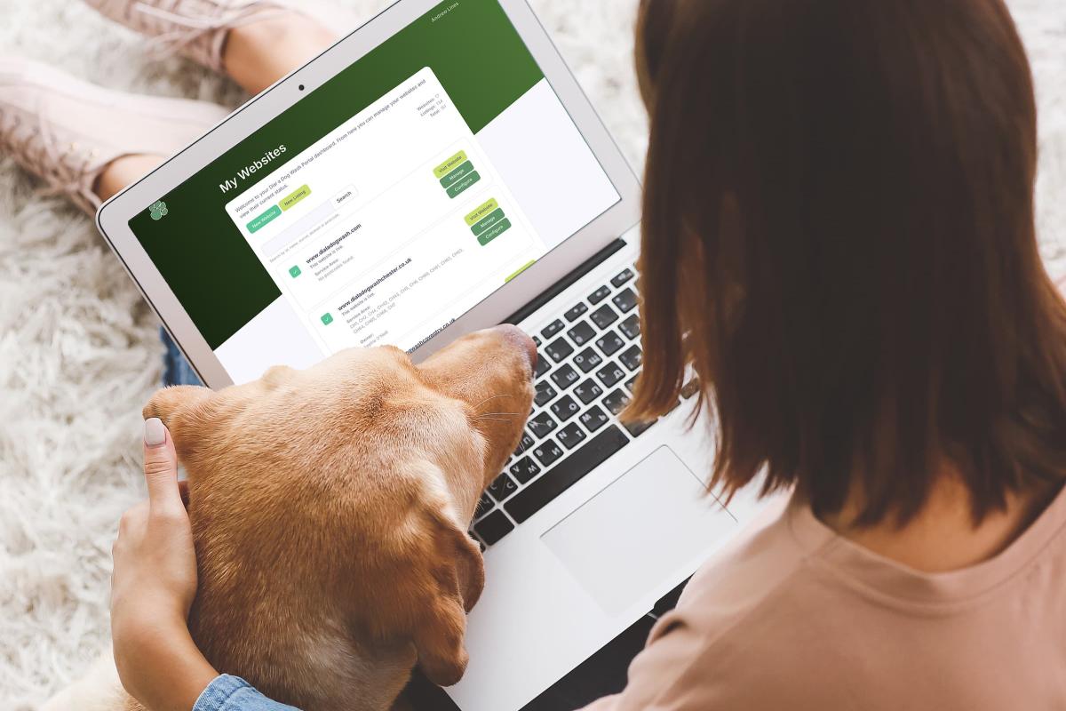 Dial a Dog Wash | Web Design, Web Systems