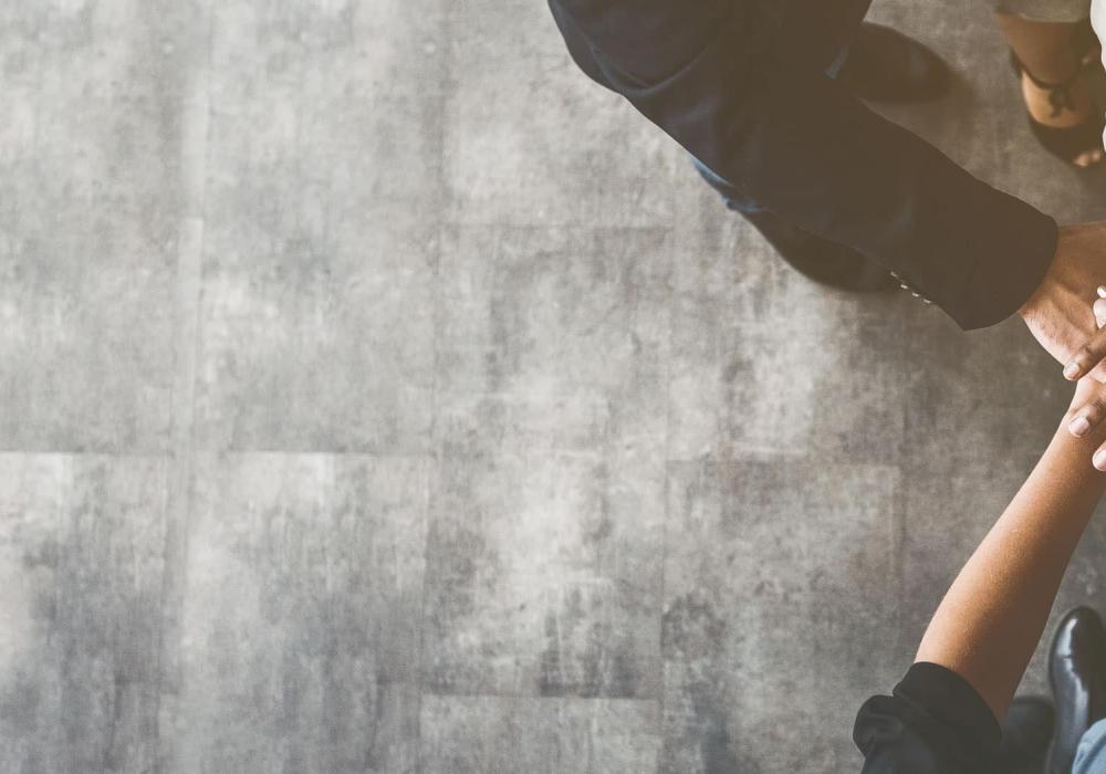 Give the Dog a Bone: Business Support and Consultancy