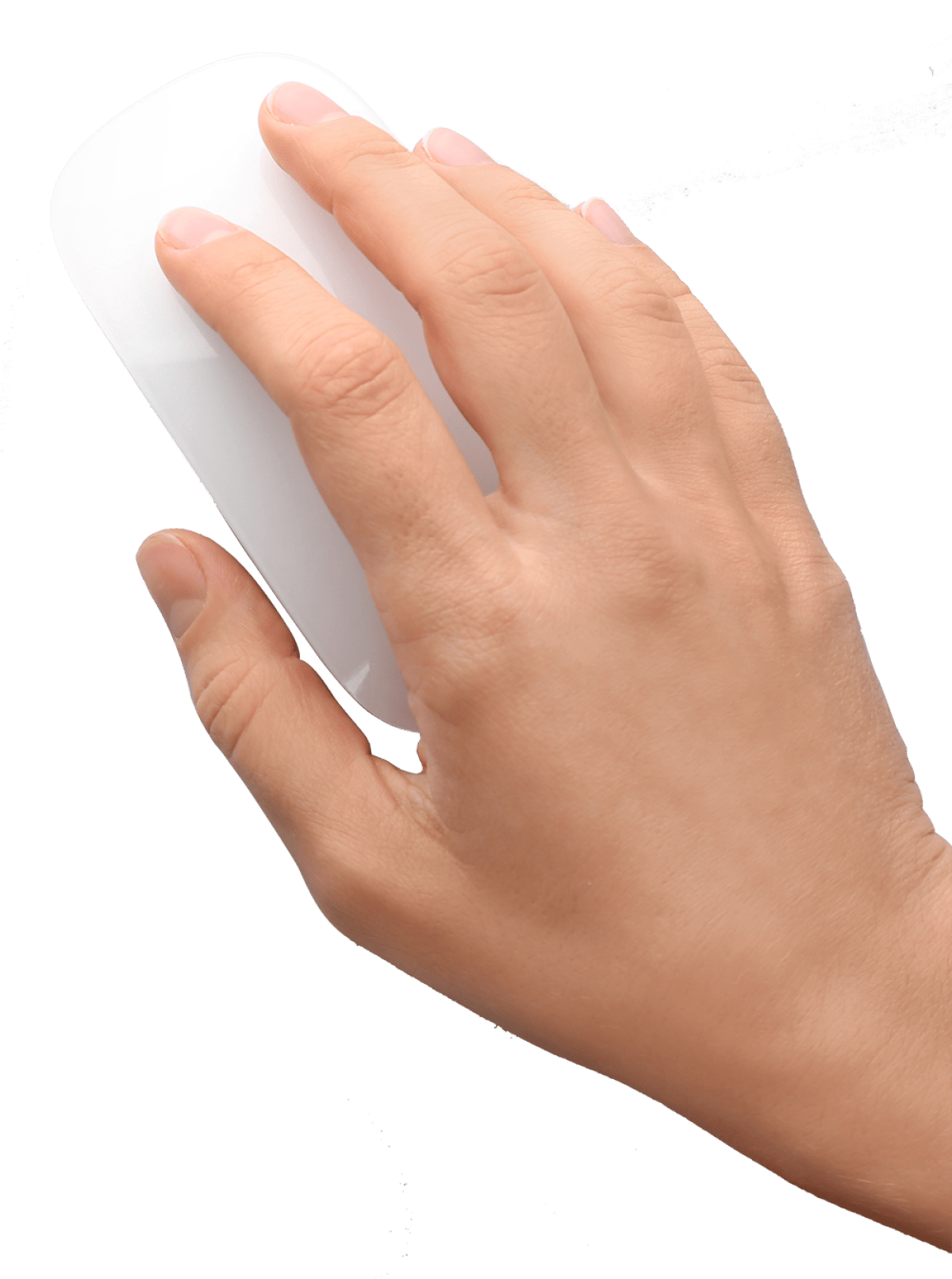 Give the Dog a Bone: PPC (Pay-Per-Click) Give the Dog a Bone: PPC (Pay-Per-Click)